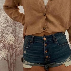 American Eagle Festival Shorts